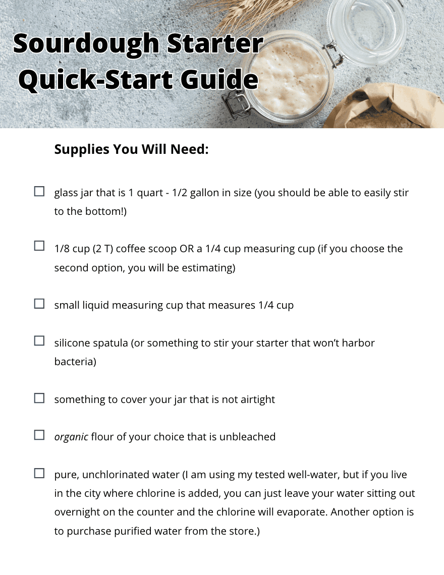 sourdough starter quick-start guide
